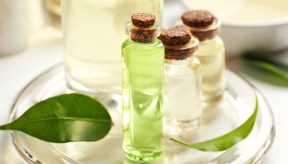 Tea tree olie 10 manieren om te gebruiken!